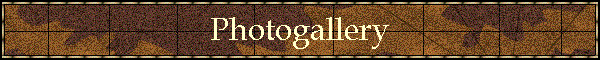 Photogallery